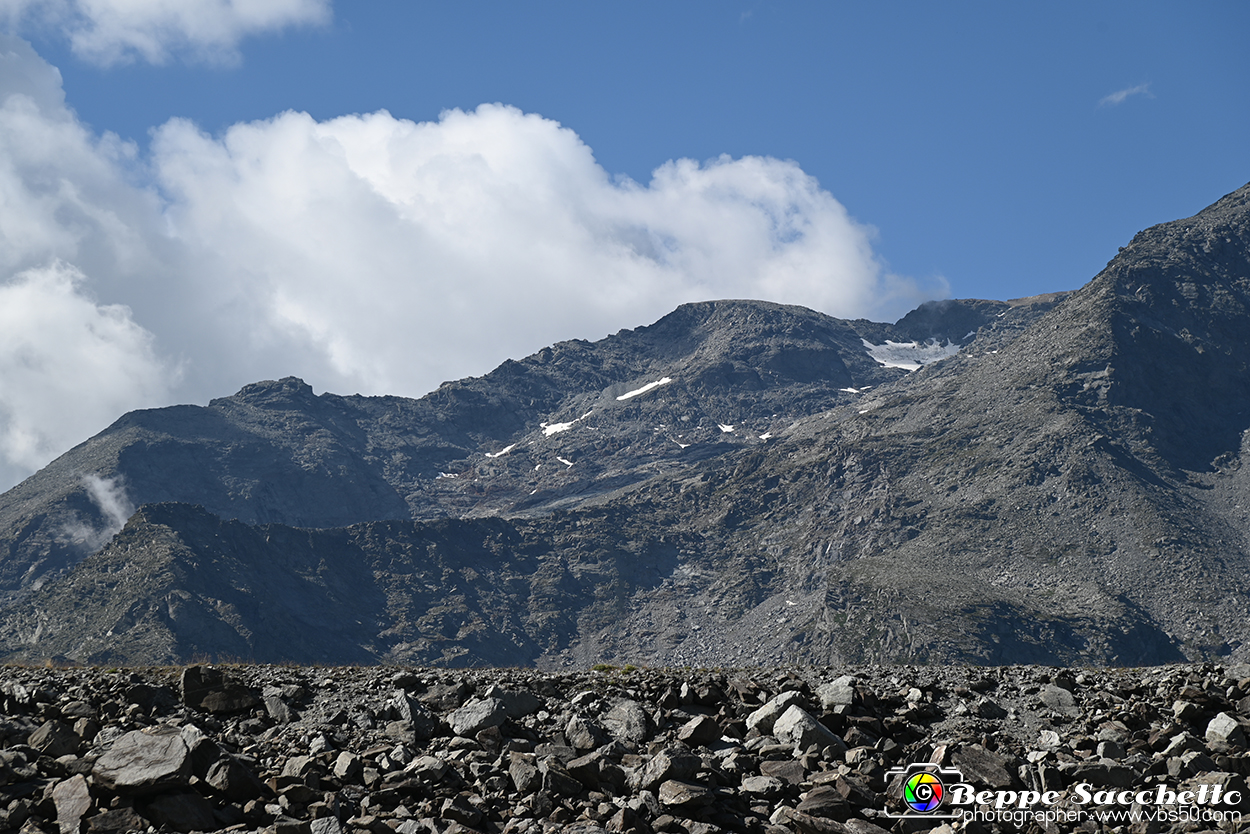 VBS_1 -  Plateau du Mont-Cenise, Grand Croix, Marmotte_-_0138 mt.jpg